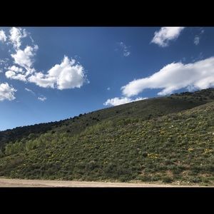 Meet your Posher, Sheree